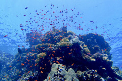 Marsa Alam - Coraya Bay